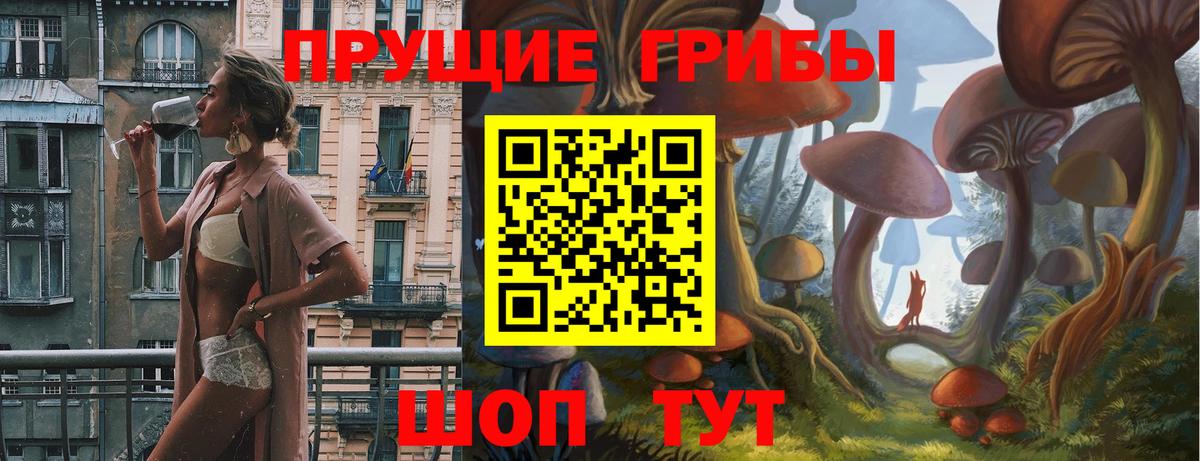 Галлюциногенные грибы прущие грибы  Вход с VPN  Кинель 